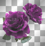 lilla rose