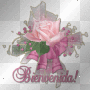 bienvenida bienvenida