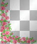 Pink Rose border