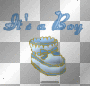 Its a Boy bootie
