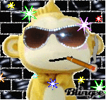 monkey