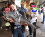 Coolio Fish