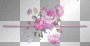 Pink roses