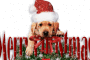 joyeux noel