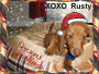 Codys Puppy