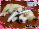 Thank My Friend