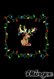 deerlights