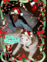Christmas with Dakota