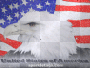 america