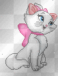 the Cat