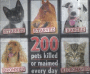 Save the pets