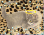 Kitty