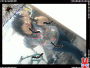 michi_250