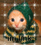 meow1612