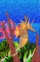 seahorse and coral seahorse and coral