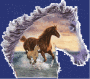 Animated Picture