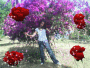 lamita2