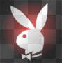 Playboybunny!