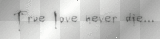 true love never die
