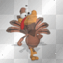 Turkey Walking Turkey Walking