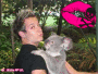 david desrosiers david desrosiers