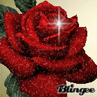 rose