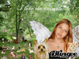 I love the animals 2