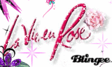 la vie en rose