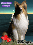 lassie add