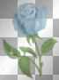 blue flower