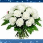 Animated Picture