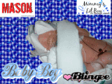 mason