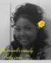 yellow rose