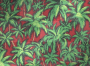Tropical 