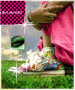 CONVERSE ROCK
