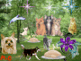 Animated Picture