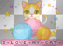 i love my cat