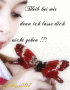 Miss-Angel-007