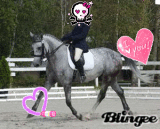 dressage