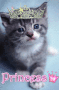 cat princess