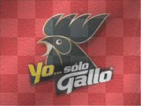 gallo