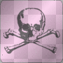skull skull