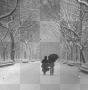 winter couple winter couple
