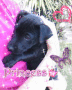 TILLY BABY X