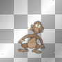 monkey
