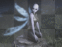 bald fae