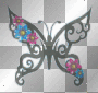 buttefly