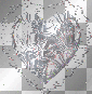 heart heart