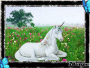 licorne;;;;;;;;;;;;;;;;