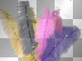 feathers